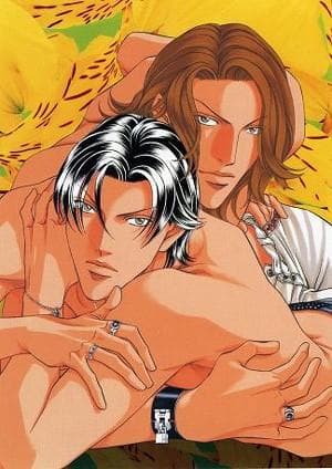 拥抱春天的罗曼史