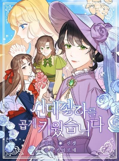 灰姑娘的善良继母